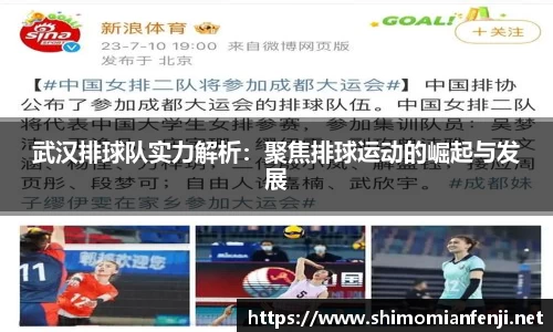 武汉排球队实力解析:聚焦排球运动的崛起与发展